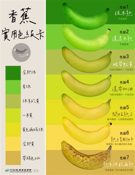 夢見香蕉是幾號|夢中香蕉顏色暗示中獎號碼？